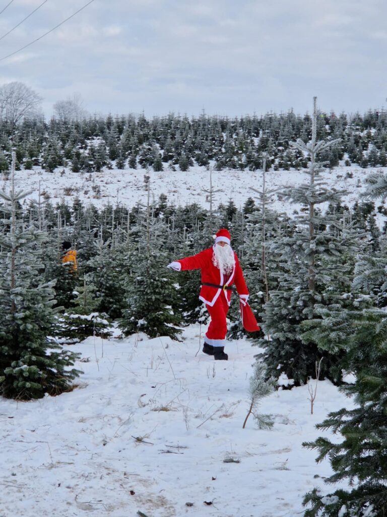 Kaszubska Choinka 1 Chynowie