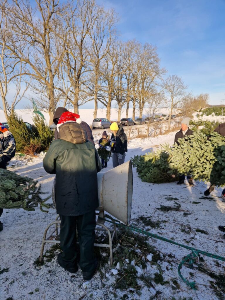 Kaszubska Choinka 6 Chynowie