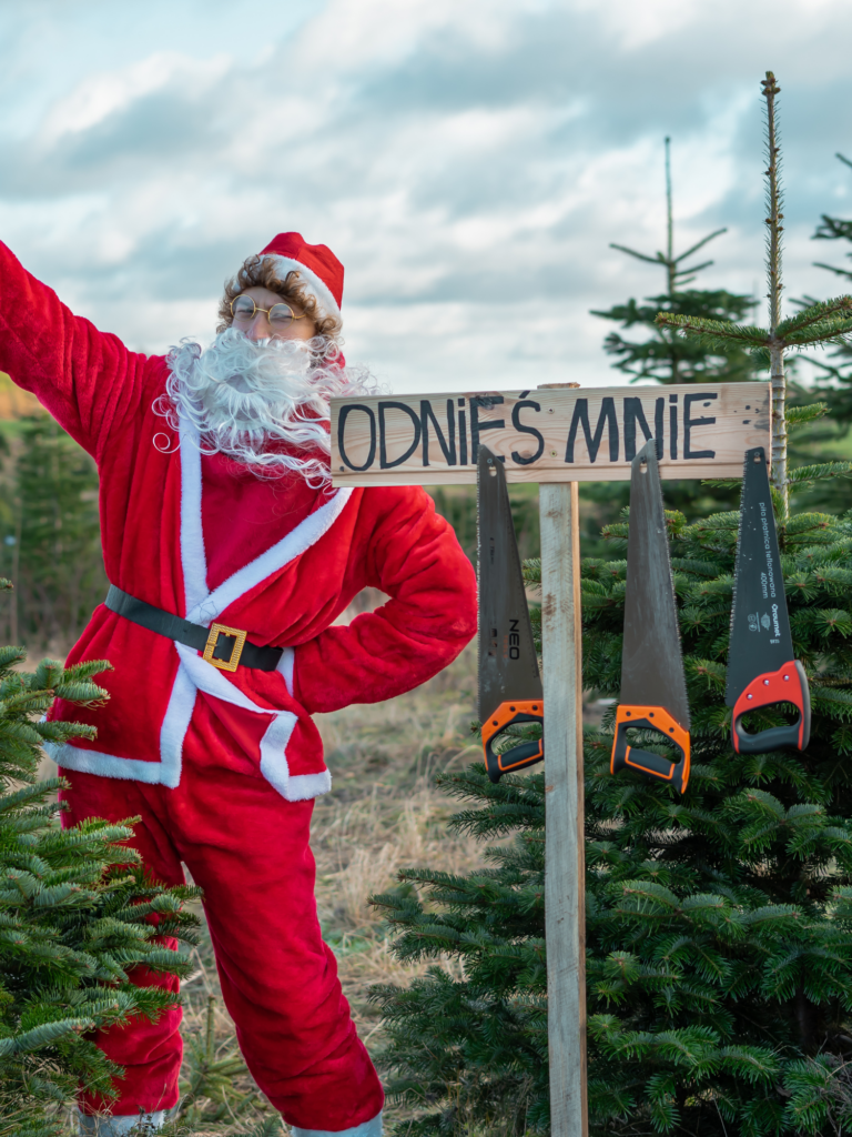 Kaszubska Choinka 2 Chynowie