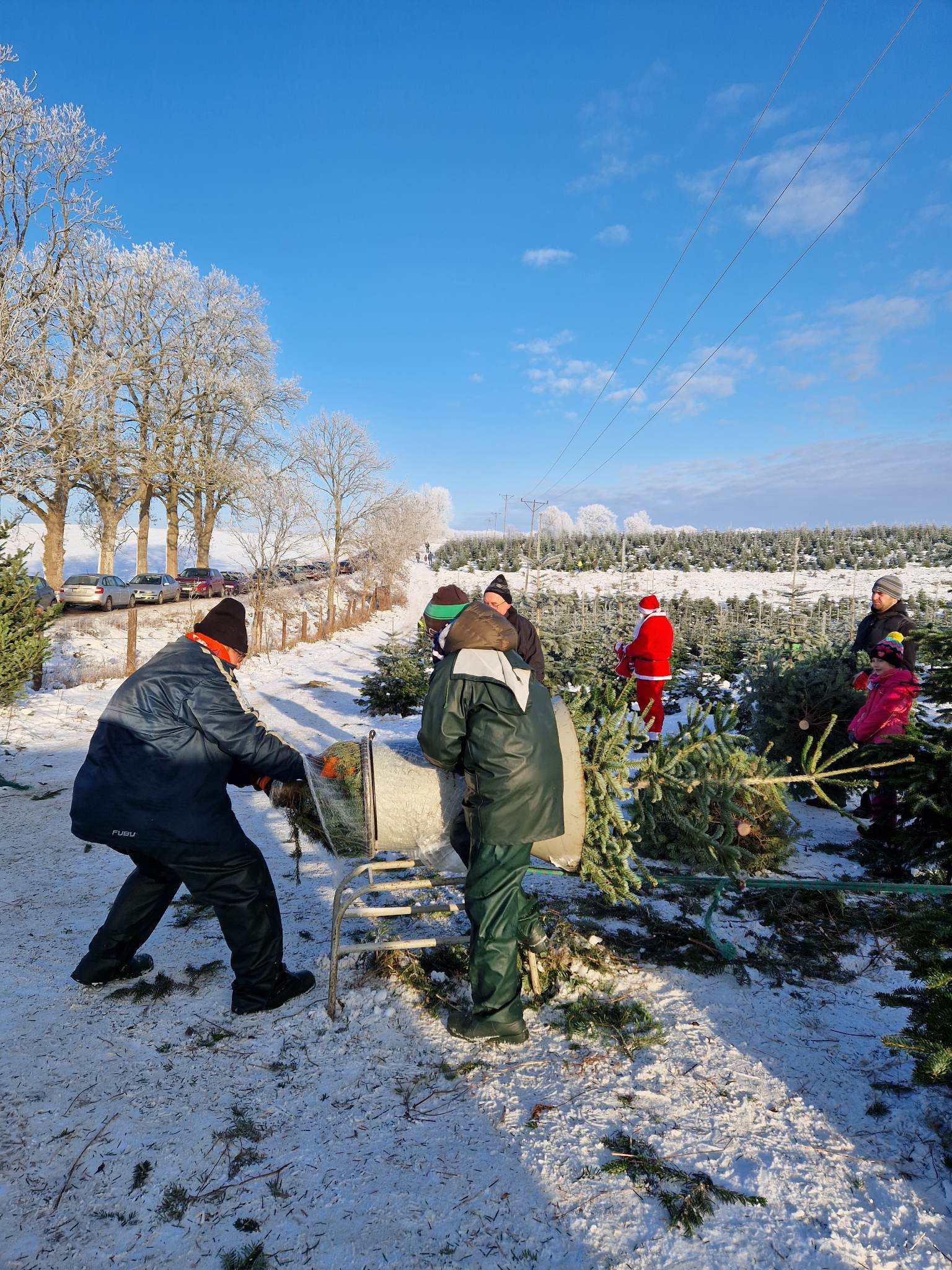 Kaszubska Choinka 15 Chynowie