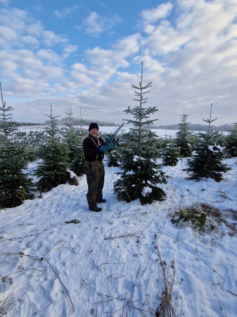 Kaszubska Choinka 14 Chynowie