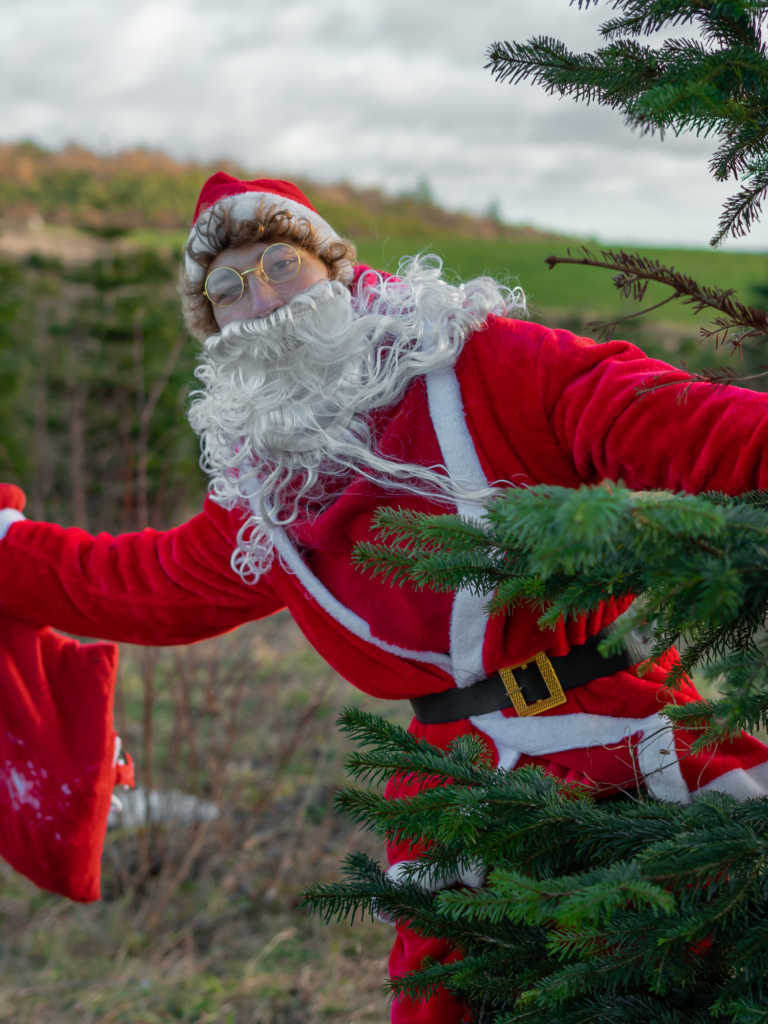Kaszubska Choinka 7 Chynowie