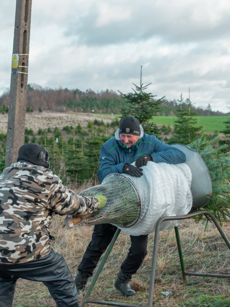Kaszubska Choinka 3 Chynowie